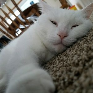 Meet your Posher, Hilary